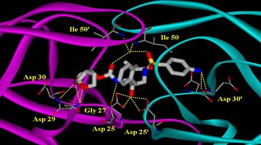 High resolution X-Ray structure of Darunavir-Bound HIV-1 Protease (1.23 Å).